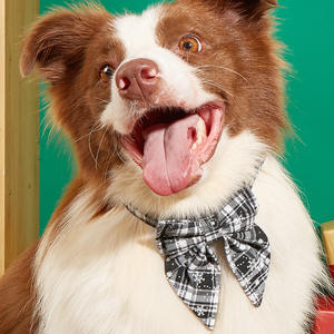 Alta calidad 2025 nueva llegada de lujo Navidad accesorios personalizados para perros respetuoso con el medio ambiente pequeño perro mascota gato arco Collar con pajarita - Product Image 3