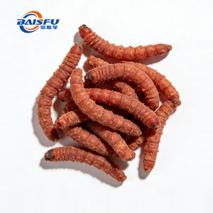 สารปรุ<span class=keywords><strong>ง</strong></span>แต่ง<span class=keywords><strong>รสชาติ</strong></span>หนอนแด<span class=keywords><strong>ง</strong></span> - กลิ่นและ<span class=keywords><strong>รสชาติ</strong></span>จากธรรมชาติ ชนิดน้ำ/ผง สำหรับผลิตภัณฑ์โปรตีนจากแมลงและอาหารเพื่อสุขภาพ - Product Image 1