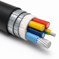 Kabel Daya Inti Aluminium Berlapis Baja 0.6/1kV YJLV22 YJLV Berisolasi XLPE 5 Inti 4x95mm2+1x50mm2 4x120mm2+1x70mm2 Bawah Tanah