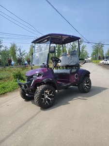 Chino personalizable Puntos escénicos hoteles turísticos ferries caravanas carrito de golf de buggy eléctrico con techo de panel solar - Product Image 5