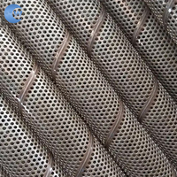 Squelette spiralé avec tube filtrant perforé en acier inoxydable pour le forage de puits d'eau et de puits pétroliers et le contrôle du sable sans bavures