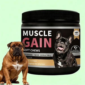 כלבים רווח שרירים & התאוששות לועס רכים עם l-ארגינין & חלבון מי גבינה-תמיכה רזה שרירים & כוח - Product Image 1