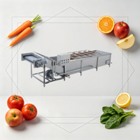 Jinglong Fruit- en Groentereinigings- en Drooglijn Pitaya Fruit Bellenwasser Multifunctionele Groenteverwerkingsinstallatie
