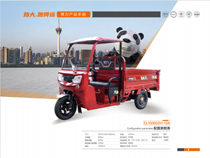 CHANGLI 1200W 3-Wheel Electric CargoTricycle 60V for Adults - Product Image 6