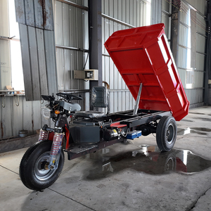 Motocarro <span class=keywords><strong>de</strong></span> Carga, Triciclo Motorizado <span class=keywords><strong>de</strong></span> Reparto, Mini Dumper, Motocicleta <span class=keywords><strong>de</strong></span> Carga, Triciclos Eléctricos - Product Image 3