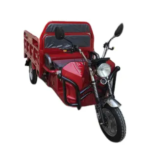 3 wheel Electric cargo tricycle with EEC COC For Euro Turkey Market Saige electric cargo tricycle cabin for sale