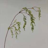 Plantes suspendues décoratives pour la maison, fruits artificiels, haricots amarantes, fleurs de plafond en latex souple