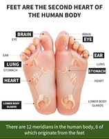 Patch pour pieds détox aux herbes naturelles 2 en 1 Coussinets pour pieds ISO Logo personnalisé Accepter 2 ans Coussinets pour pieds détox CN;SHN