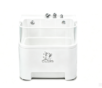Baignoire d'hydromassage pour chien avec paroi transparente en acrylique pour thérapie et surveillance