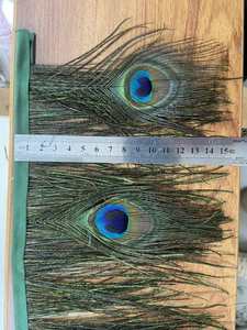 Premium Natural influenza feather occhi di pavone piuma frangia Trim piuma di fagiano rifinitura per abbigliamento decorativo - Product Image 5