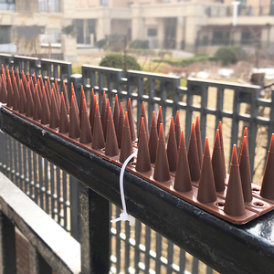 Clôture <span class=keywords><strong>Anti</strong></span>-parasites en plastique, <span class=keywords><strong>traitement</strong></span> UV, répulsif d'oiseaux de jardin, pic d'oiseau d'escalade en plastique pour <span class=keywords><strong>Pigeon</strong></span> - Product Image 6