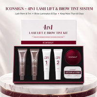Kit professionnel OEM 4-en-1 pour rehaussement de cils et teinture de sourcils, noir ou café, avec révélateur, lotions liftantes, tampons et outils