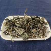 Feuilles de Polygonum tinctorii (Liao Da Qing Ye) – Plante médicinale chinoise séchée de haute qualité – Épices brutes AD pour la santé