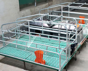 Équipement d'élevage porcin : <span class=keywords><strong>Lit</strong></span> de mise bas <span class=keywords><strong>pour</strong></span> truies, <span class=keywords><strong>Lit</strong></span> de mise bas double européen, Incubateur <span class=keywords><strong>pour</strong></span> porcelets, Caisses de mise bas <span class=keywords><strong>pour</strong></span> porcherie - Product Image 4