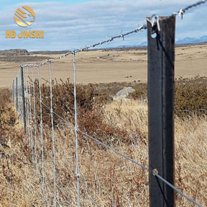 <span class=keywords><strong>Alambre</strong></span> de Púas de Acero <span class=keywords><strong>Galvanizado</strong></span> de Alta Calidad HB JINSHI Factory, Calibre 14 x 12, para Seguridad - Product Image 4