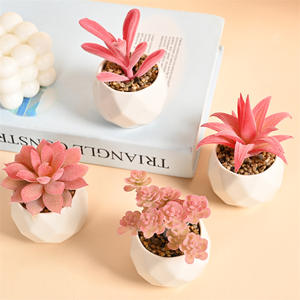 Piante Artificiali in Vaso di Plastica Serie <span class=keywords><strong>Rosa</strong></span>, Bonsai Succulente Artificiali, Decorazione Paesaggistica in Miniatura - Product Image 2