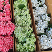 Bunga Hydrangea Buatan Tangan Berkualitas Tinggi Honghua 50cm, Sentuhan Realistis, Warna Biru Hijau Lembut, untuk Dekorasi Pernikahan, Rumah, dan Hari Valentine