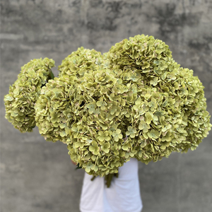 Hoa giả cẩm tú cầu trắng lớn đường kính 30cm, bán buôn hoa Chermy Đại Liên - Product Image 5
