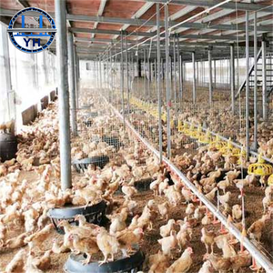 Gallinero de Metal de Construcción Rápida y Económico, Gallinero Prefabricado, Cobertizos para Granjas Avícolas, Estructuras de Acero, Cobertizos de Alimentación para Pollos - Product Image 2