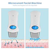 Appareil de lifting galvanique micro-courant portable le plus vendu pour le visage et le corps, en ABS, électrique, anti-âge, raffermissant la peau, rechargeable
