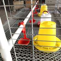 Nouveau produit phare : Cage à poulets compacte, conception de système d'élevage, anti-corrosion, poulailler de couvaison, cage à volailles en batterie