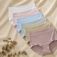 Culottes Boyshort en Coton Extensible Taille Haute OEM ODM pour Femmes, Grande Taille, Effet Ventre Plat, Confort Quotidien, Sous-vêtements Féminins à Marque Privée