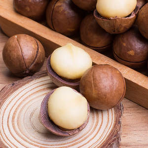 Noix de macadamia <span class=keywords><strong>séchées</strong></span> brutes de haute qualité, saines et économiques, peau brune, chair blanche, qualité snack, grade A, baril de 500g - Product Image 4