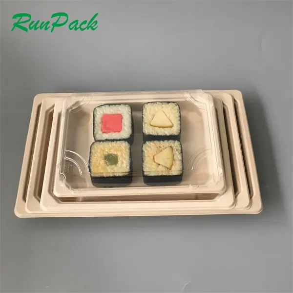 Kotak Sushi plastik sekali pakai mewah kemasan: elegan dan kelas atas presentasi untuk Gourmet Sushi