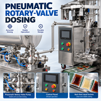 Machine d'emballage DEEPACK pour sauces de nouilles froides avec dosage pneumatique et scellage arrière pour sachets d'ingrédients alimentaires