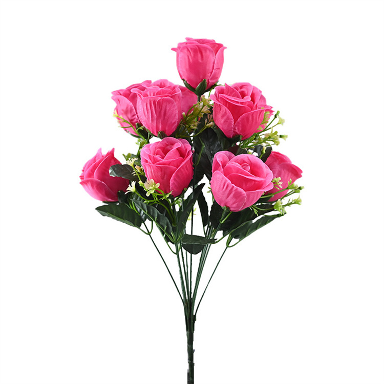 Rose garance