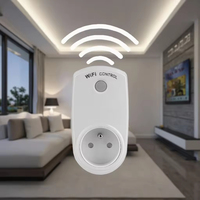 Prise intelligente Wi-Fi multifonction 10A à commande vocale Google Home, prise de courant 220V, vente en gros