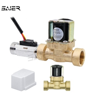 DC12V 24V pirinç su solenoit valfi 220V tek yönlü su vanası DN15 DN20 Solenoid su vanaları - Product Image 1