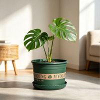 Pots à fleurs en PP de haute qualité avec trou de drainage, design minimaliste, capacité de 4,23 L, pour balcon, jardin, maison et utilisation au sol