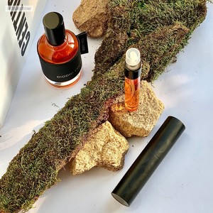 น้ำหอมขนาดพกพาคุณภาพสูงสำหรับผู้หญิง กลิ่นหอมติดทนนาน ชุดเดินทาง ยี่ห้อดัง ขนาด 50 มล. 10 มล. แบบสเปรย์ กลิ่นดอกไม้ ขายส่ง - Product Image 5