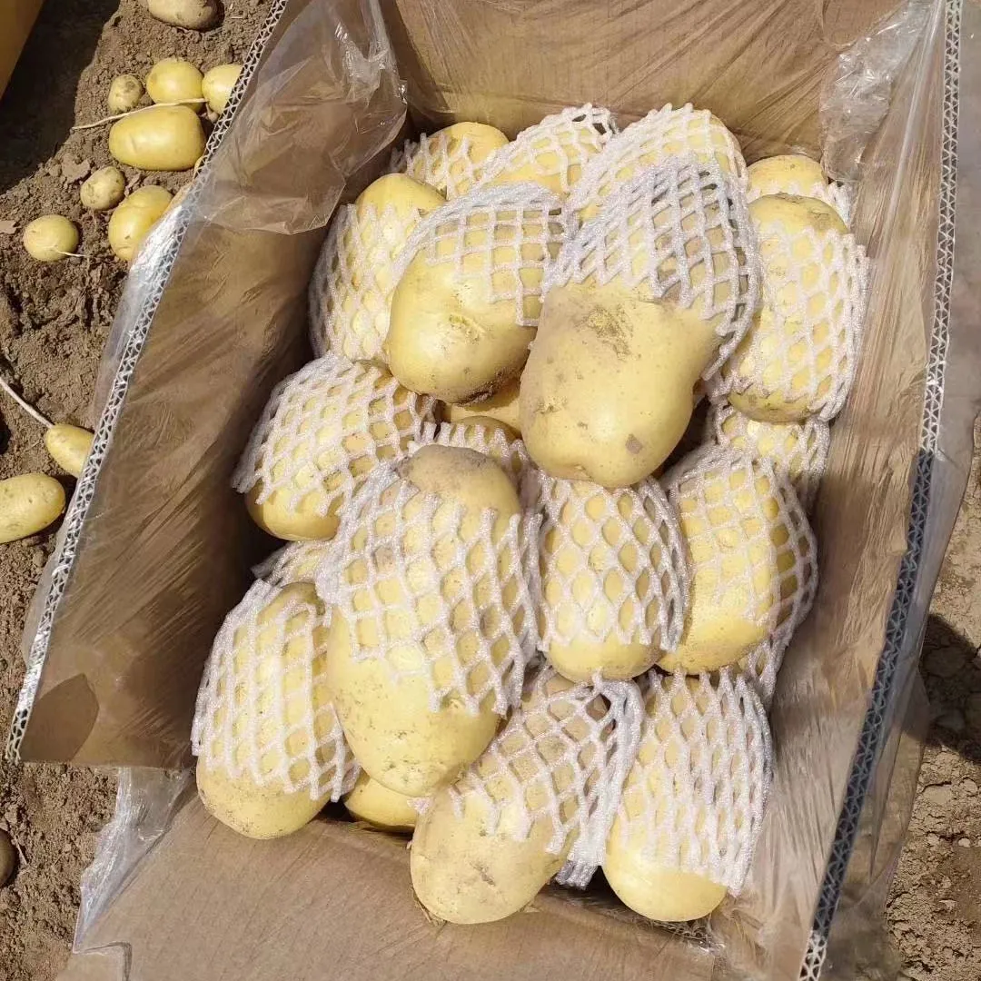 Manufacturer Supply Organic Potatoes Fresh Vegetables For Sale