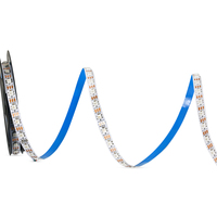 Bande de LED CE ROSH Magic 60LEDS SK6812 5050RGB IP20 5V 10mmPCB RVB Paysage Dimmable Strip Lights