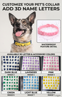 Collier et laisse personnalisés en silicone avec nom, boucle métallique, breloque DIY, collier réglable pour chats et chiens toutes saisons