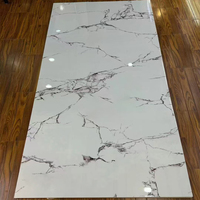Panneau mural en marbre ignifuge écologique de haute qualité, panneau en plastique PVC imperméable avec revêtement UV pour utilisation hôtelière