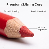 Ensemble de 12 crayons de couleur en bois, étui en métal, corps estampé à chaud or, pré-affûtés, non toxiques, pour enfants, cadeau scolaire, logo personnalisé OEM ODM