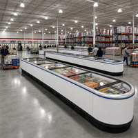 Congelador Combinado de Gran Capacidad para Hipermercados, con Puertas Corredizas de Vidrio de Doble Cara, Congelación Rápida, Exhibición para Hipermercados