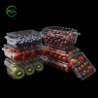 Flash Crystal Clear Wegwerp PET Plastic Fruitdoos Ademende Clamshell Verpakking voor Salade en Champignons