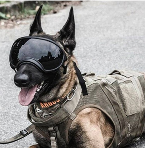 Accessoires de plein air Lunettes tactiques pour animaux de compagnie Lunettes de soleil anti-poussière pour chiens de taille moyenne et grande - Product Image 1