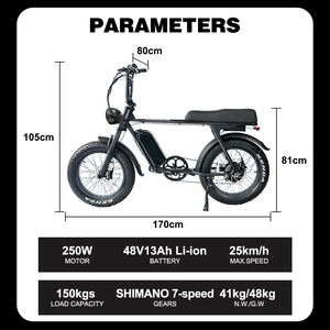 Entrepôt de l'UE 48V 15Ah 250W 20 pouces gros pneu E <span class=keywords><strong>vtt</strong></span> stock américain puissant suspension complète 13Ah 750W adultes hors charge vélo électrique - Product Image 5