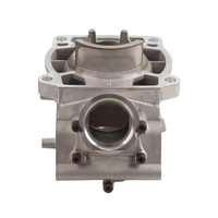 Vente en gros d'usine, cylindre standard OEM plaqué Nikasil pour KTM 300 EXC XC-W TBI 2024-2026, pièces de bloc moteur de moto tout-terrain