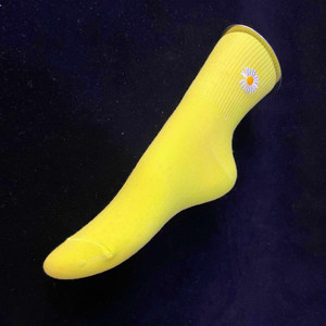 Présentoir de cheville pour femmes Mannequin de pied pour adultes Aimant plaque d'acier Modèles de pied pour chaussettes et chaussures Présentoir - Product Image 6