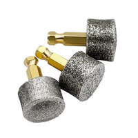 Polisseuse à ongles électrique pour animaux de compagnie Remplacement de roue Tête de meulage électrique pour animaux de compagnie Coupe-ongles automatique Outils de tête de meulage