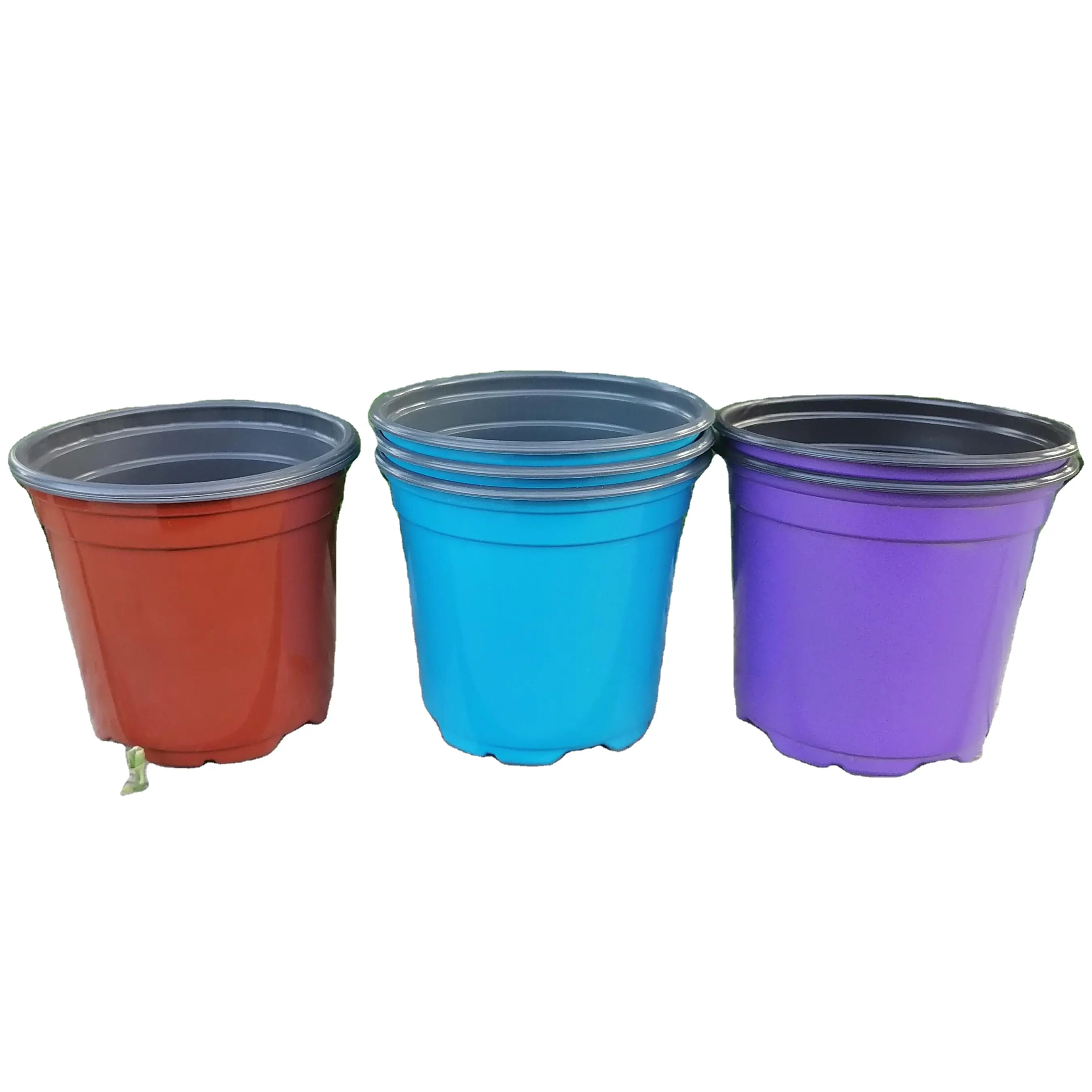 ハーブ苗用3.9インチミニプラスチック苗床植木鉢