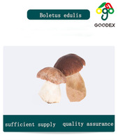 Nouveau produit 2026 : Morilles séchées de haute qualité, champignons bleus de la montagne