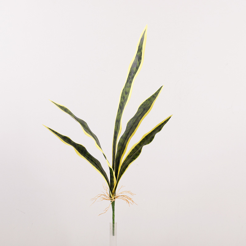 Plante serpent, vert jaunâtre [petite] H57cm