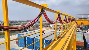 نوع شجب ميناء استخدام حاوية مزدوجة العارضة رافعة جسرية - Product Image 6